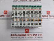 Analog-Input-Module-750-473-005-000-24V-Dc-Wago-209380-9