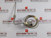Analog Temperature Indicator Weiss Inst Model W 4.5 Meter In New