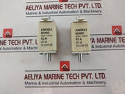Andeli Nh00 Fuse Link 63A 500V~ 100Ka