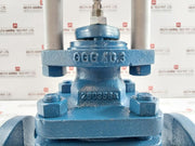 Ari Dp32