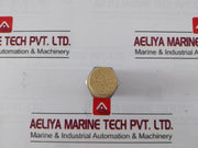 Arrow Pneumatics Asp-8 Pneumatics Exhaust Muffler 1