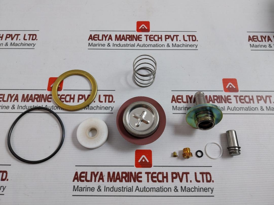 Asco 304046 Rebuild Kit T586509 Fv-168-891-1