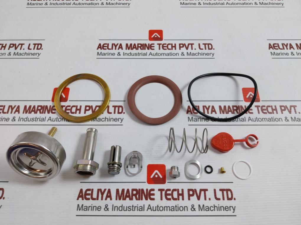 Asco 304393 Valve Rebuild Kit Series 8220 Vv.797.51.76.008