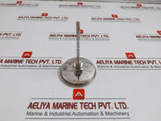 Ashcroft -20 To 120 F Dial Thermometer Dial Size:80 Mm - 150 Gm