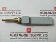 Asia Thermometer  0-100?C