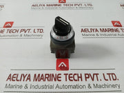 Asn311-Idec-Selector-Switch-Ac300v-3a-4