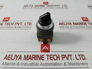Asn311-Idec-Selector-Switch-Ac300v-3a-5