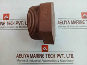 Astm A105 Esp Sch160 3 Npt Carbon Steel Plug 30146878