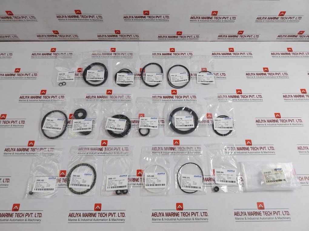 Auma Seal & O-Ring Repair Kit Complete Z110.277