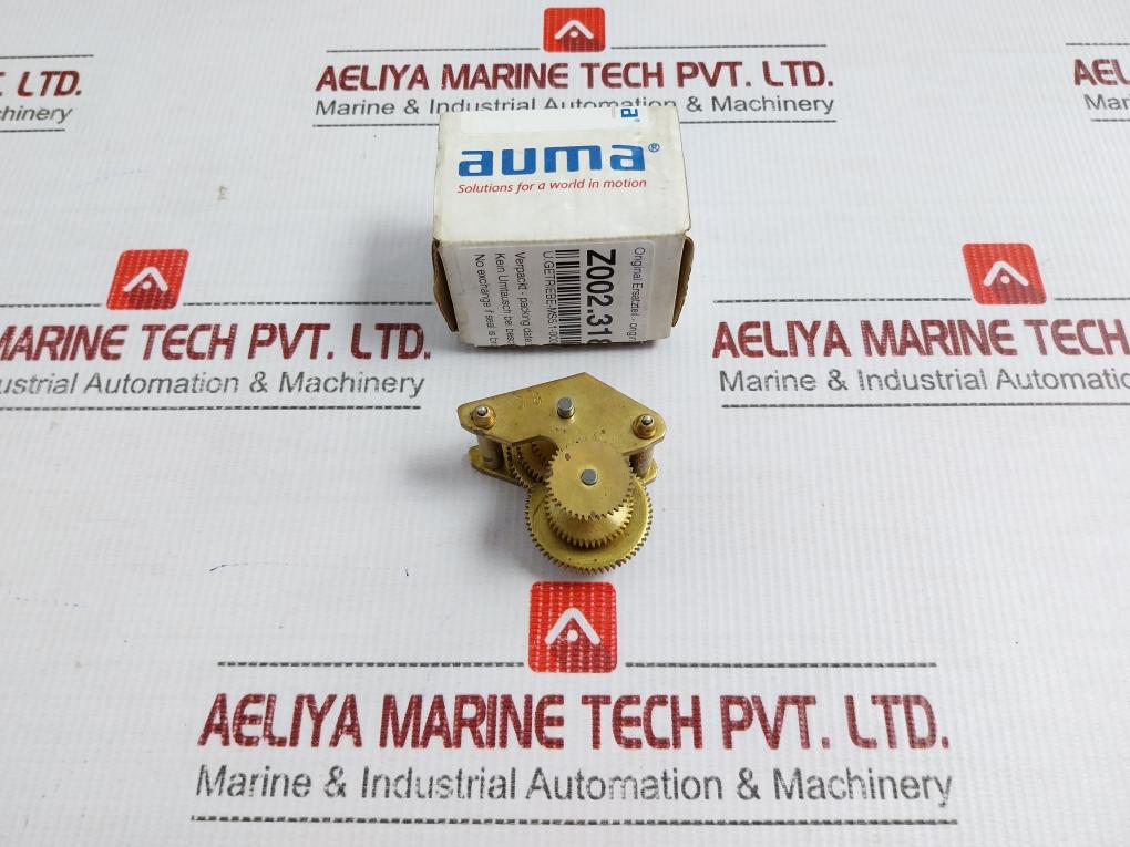 Auma Z002.318