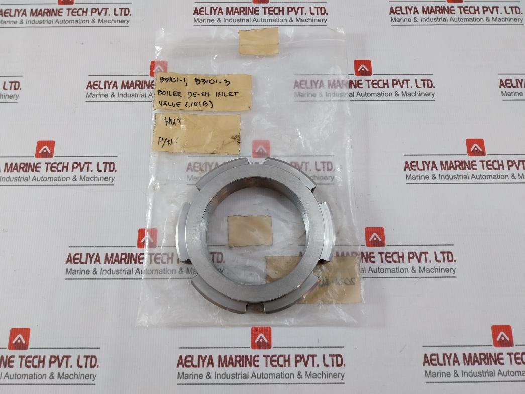 B3101-1 Nut Boiler De-sh Inlet Valve (141B)