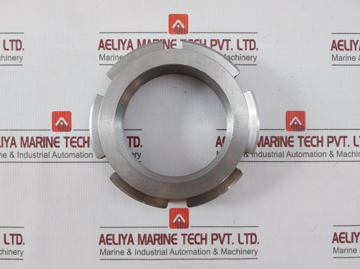 B3101-1 Nut Boiler De-sh Inlet Valve (141B)