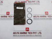 Baker Hughes 20-507013 Seal Kit Sl 1/2 Spm Valve Rev C
