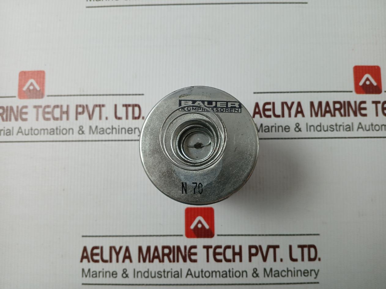 Bauer Kompressoren N 70 Air Filter Element