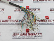 Belden Yj72364 Pvc/Pvc Instrumentation Cable 6 Meter