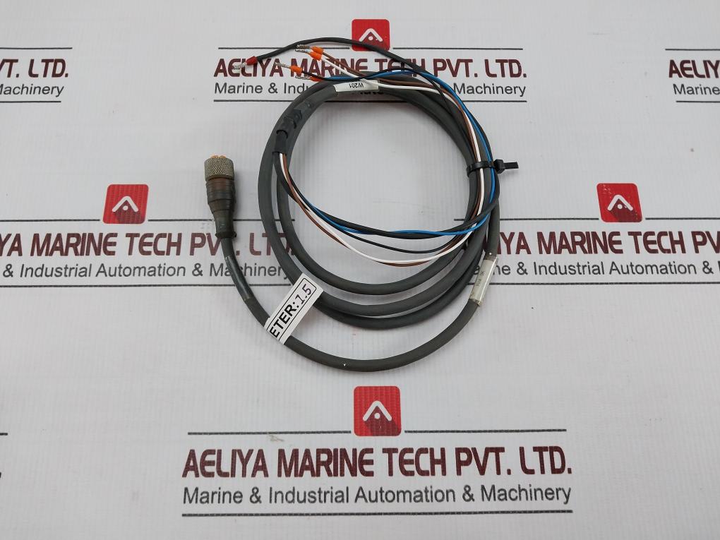 Belden Rkt 4-288/4 P1 Standard Sensor/Actuator Single-ended Cordset Meter 1.5