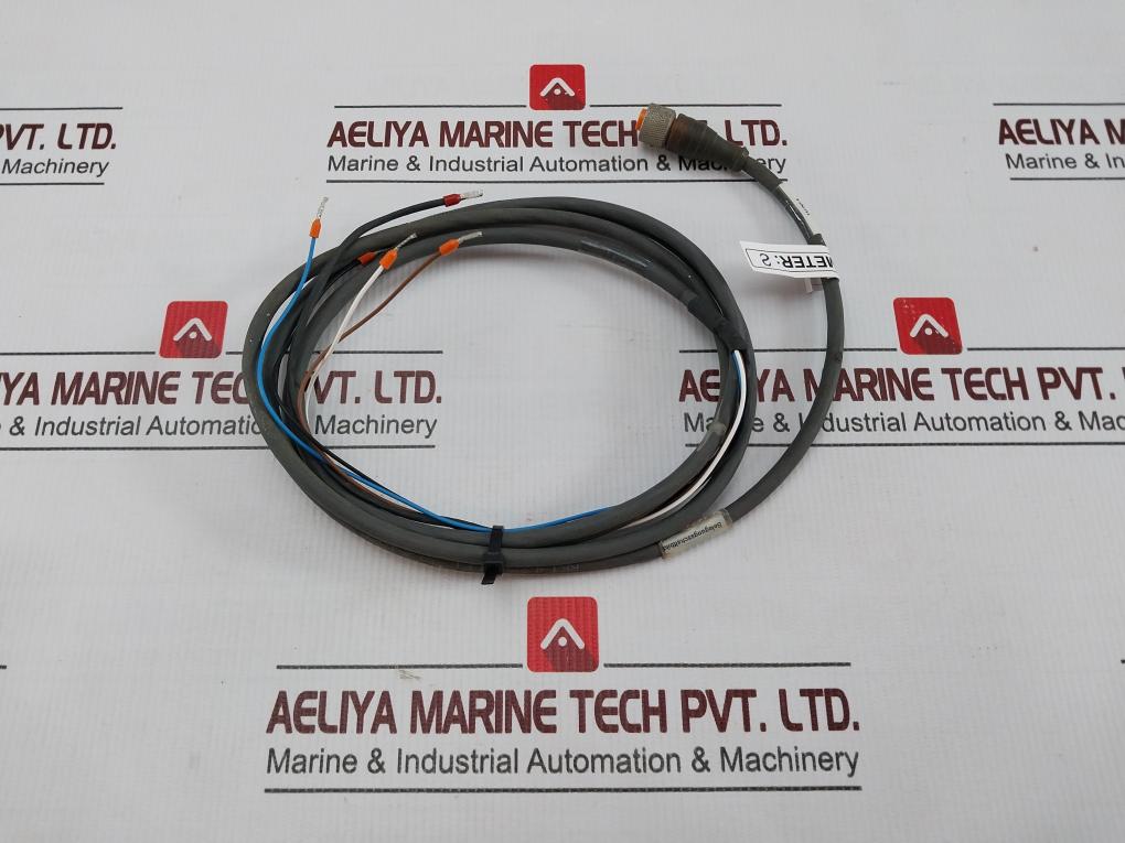 Belden Rkt 4-288/4 P1 Standard Sensor/Actuator Single-ended Cordset Meter 2