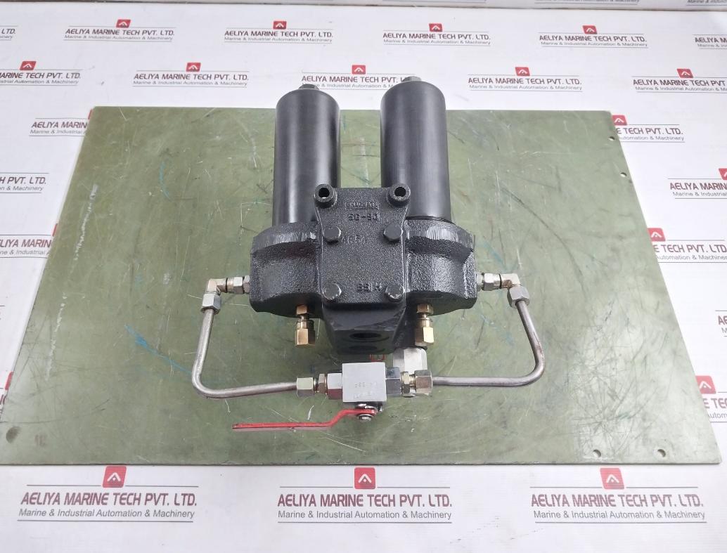 Bhagwati Filters 25D90G100 Dual Hydraulic Filter With Indicator 1/4" Bsp