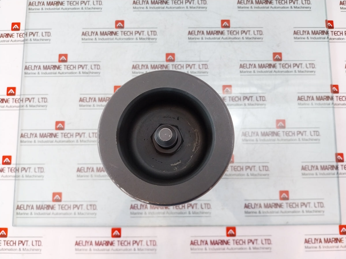 Bj 88998 3 Hardmetal Coated Pump Plunger