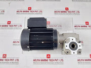 Bodine Electric 42Y6Bfpp Ac Gearmotor 60Hz Ip44 Iec-34-1 H5K0023C0005P 17Nm