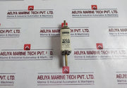 Bogenschutz Nh 1 8001 Fuse 100A ~660V