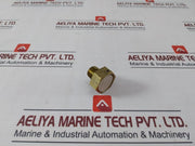Bs&B 38 Ska Male To Female Adapter Fitting 500Psig At 130F