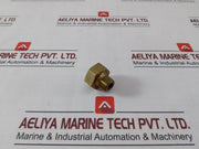 Bs&B 38 Ska Male To Female Adapter Fitting 500Psig At 130F