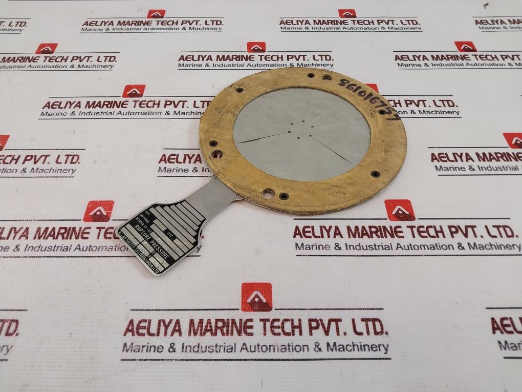 Bs&B Avv 4 Rupture Disk Tef/Ni/Tef/Hast-c
