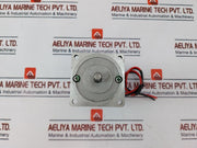 Bth K6Ds15N2 Straight Shaft Flange Permanent Magnet Dc Motor 24Vdc 15W