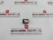 Burgess Limit Switch