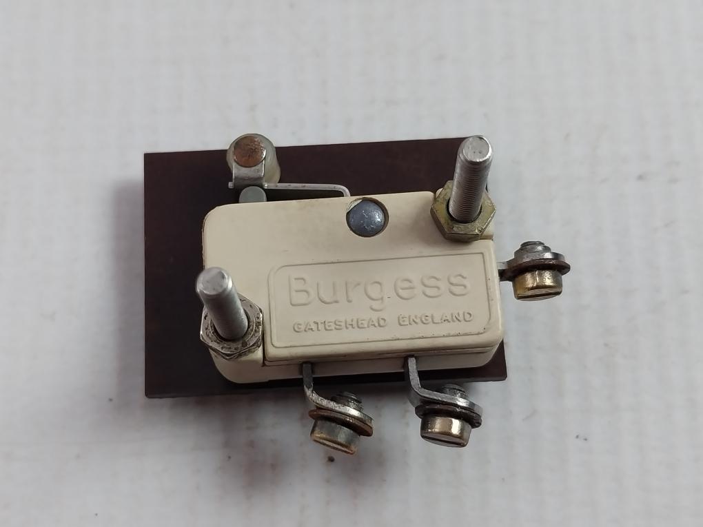 Burgess Limit Switch