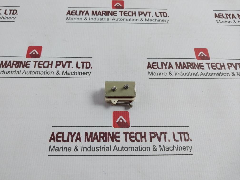 Burgess Roller Lever Limit Switch