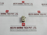 Burgess Roller Lever Limit Switch