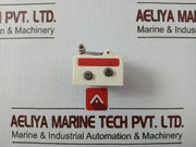 Burgess V13Lr Limit Switch 10A/250Vac