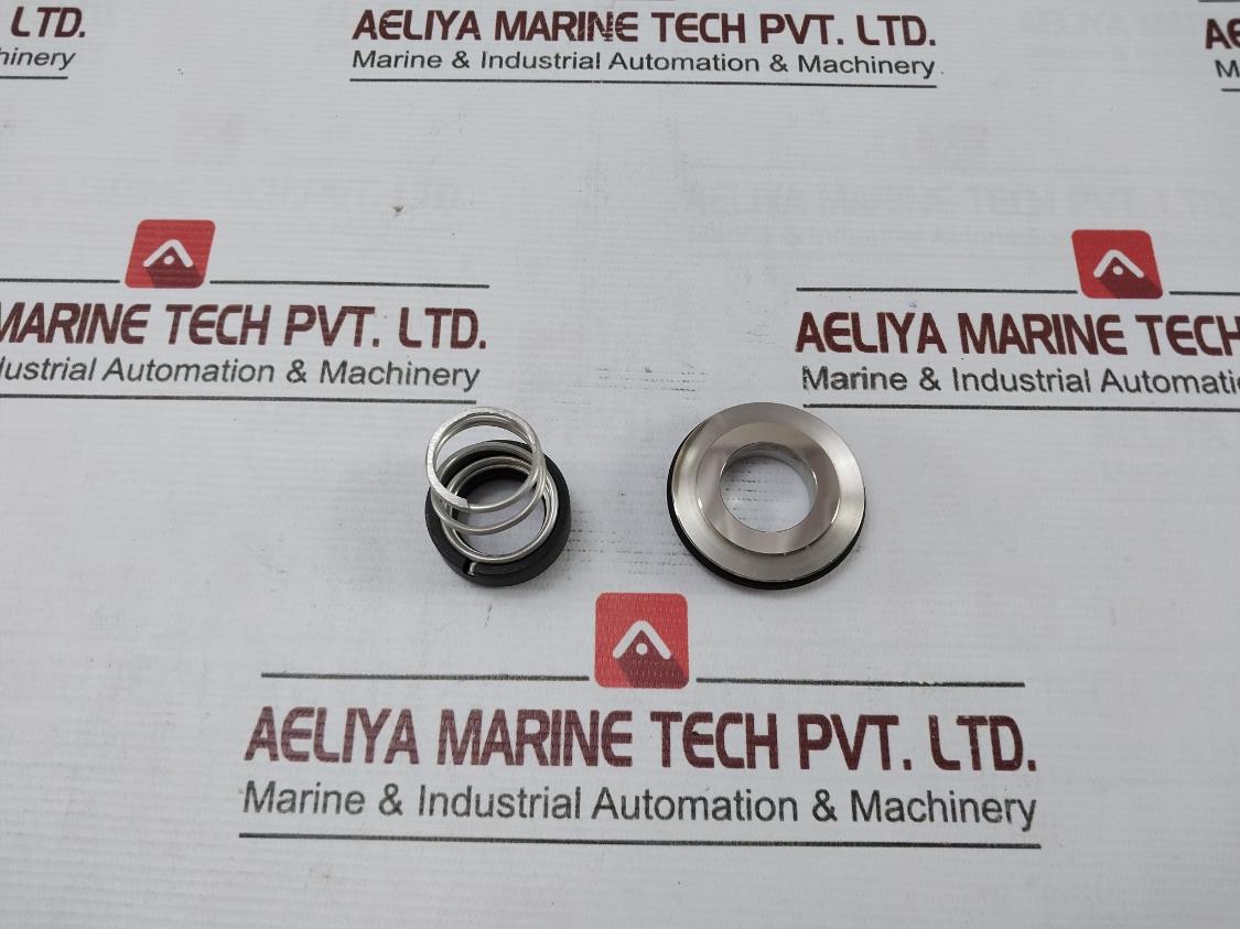 Burgman Specialized Mechanical Spring For A/E Pump