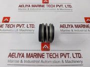 Burgmann Mg1S6/24-z Mechanical Seal Grey Water Pump