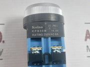 Button Switch Koino Kpb30m - 80 Gm