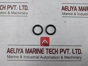 Buxton R10701-2 Air Drive Cycling Valve Repair Kit Ss033D