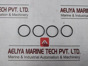 Buxton R10701-2 Air Drive Cycling Valve Repair Kit Ss033D