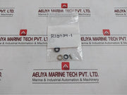 Buxton R10704-1 High Pressure Seal Set Ss033D