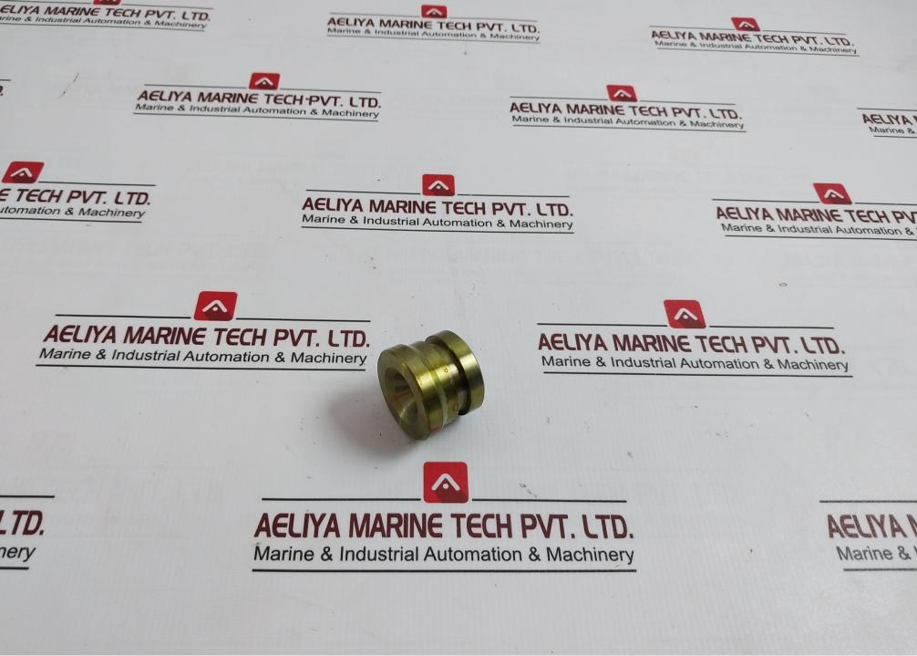 Bv-201 Plug For Water Test - Boiler Safety & Relief Valve
