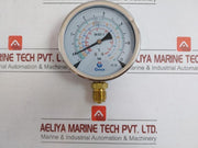 By Gesa Pressure Gauge -1 To 24 Bar -90 To 30˚C
