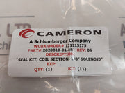 Cameron 2020810-01-99 1/8” Solenoid Valve With Coil Repair Kit 2232325-01