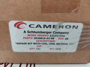Cameron 2020810-01-99 1/8” Solenoid Valve With Coil Repair Kit 2232325-01