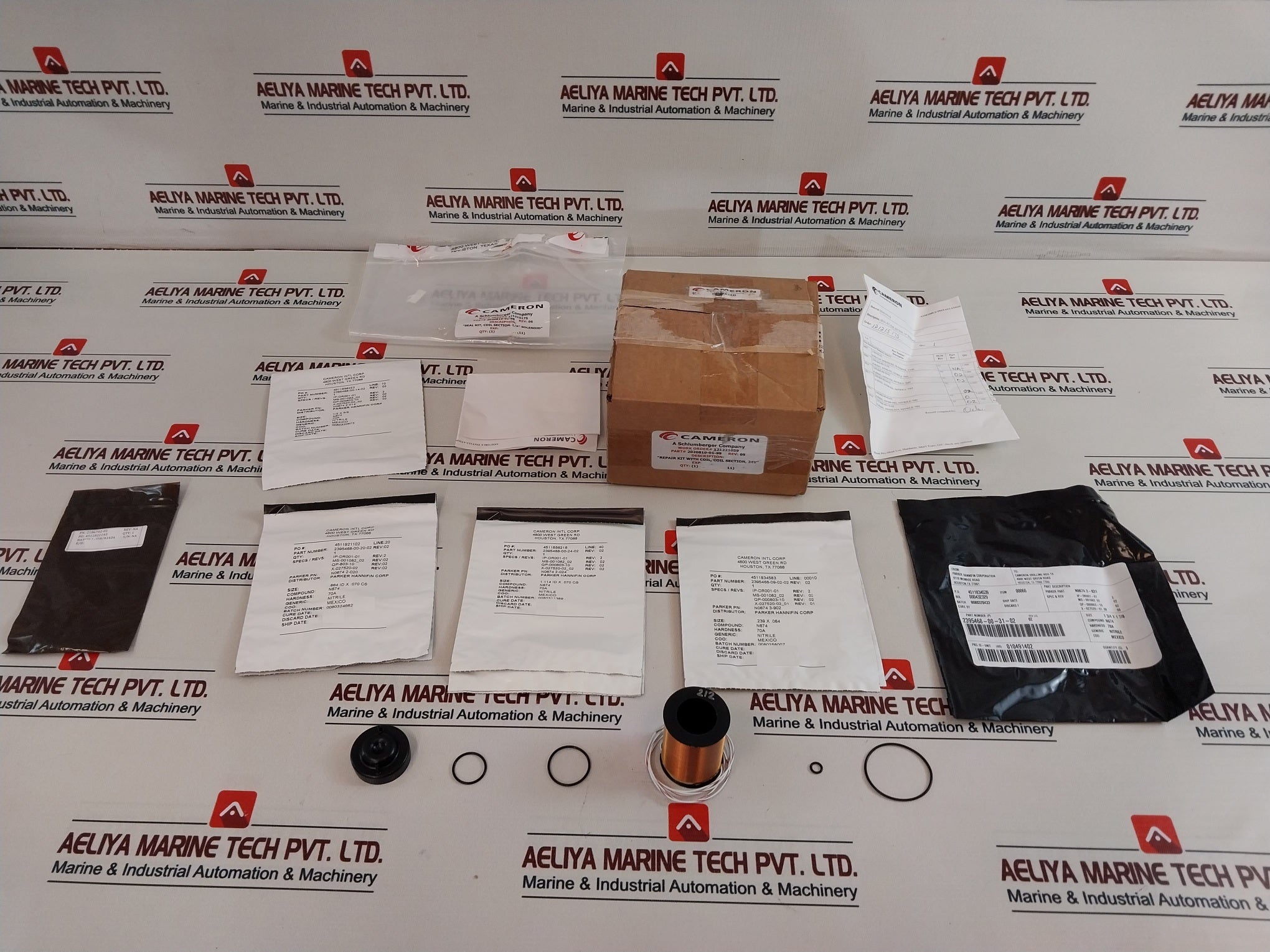 Cameron 2020810-01-99 1/8” Solenoid Valve With Coil Repair Kit 2232325-01