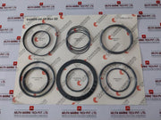Cameron 644909-04-70 Kit, Bonnet Rebuild