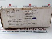 Cameron 140255-01-72-03 Gate Valve Seat