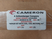 Cameron 2020810-01-99 Pressure Solenoid Valve Coil Repair Kit