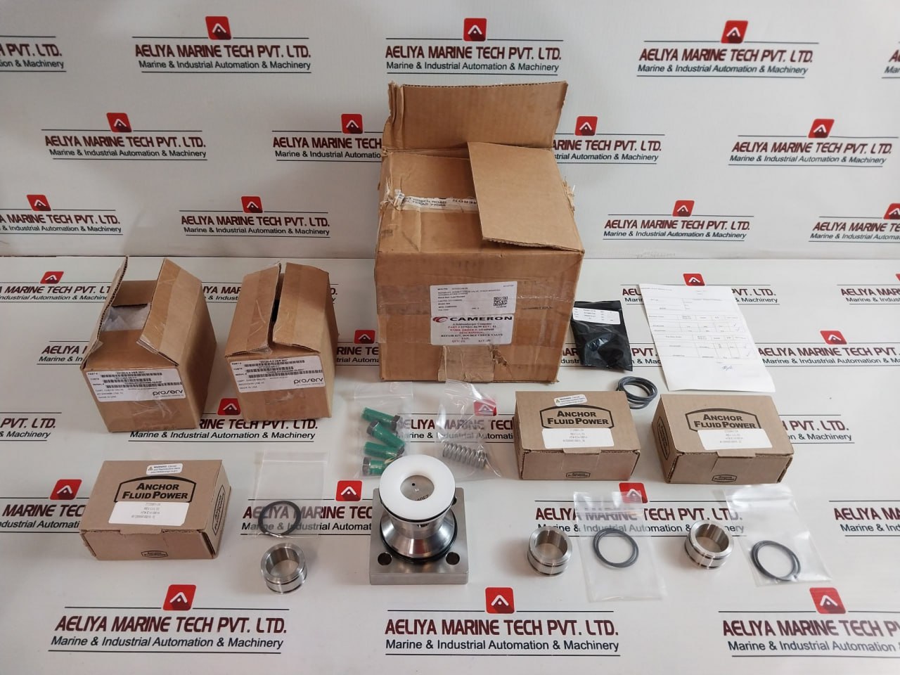 Cameron 2275321-04-99 Double Check Valve Repair Kit 2711223-24-11