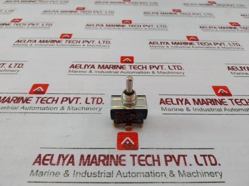 Carling 9940 Panel Switch 10A 250Vac 15A 125Vac 3/4Hp